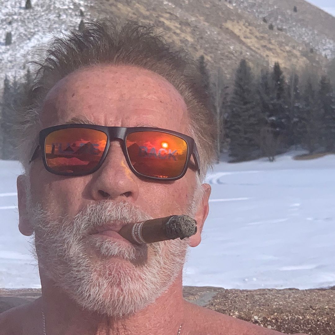 @arnoldschnitzel